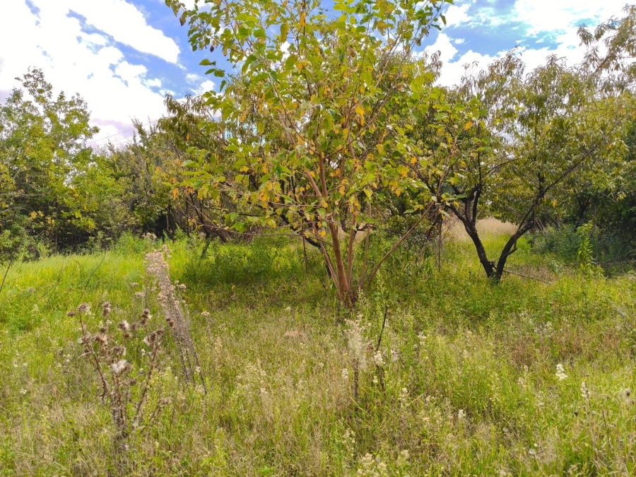 4 Bedroom Property for Sale in Potchefstroom Rural North West